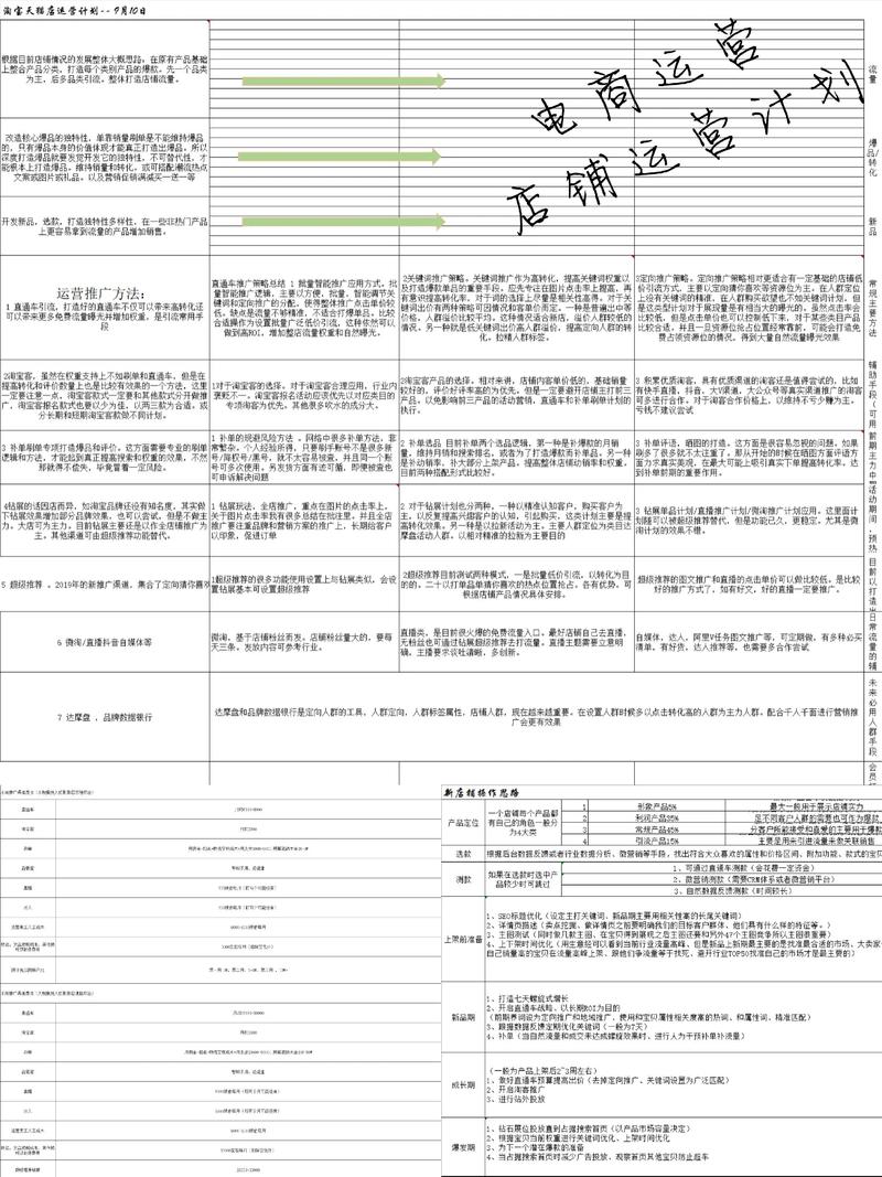 电商代运营行业的风云变幻与前景展望